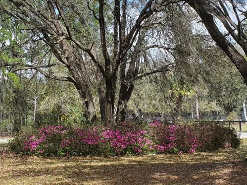 7754 Cr 248b, Lake Panasoffkee, FL 33538-3020