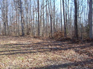 293 Hanging Limb Hwy, Crawford, TN 38554-3409