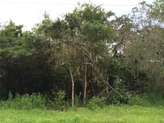 11504 Heron Hills Ln, Riverview, FL 33569-6410