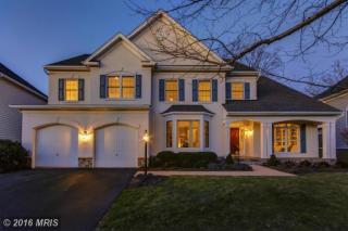 44208 Riverpoint Dr, Leesburg, VA 20176-8247