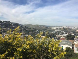 783 Humboldt Rd, Brisbane, CA 94005-1674