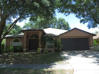 24329 Twin Lake Dr, Land O Lakes FL  34639-5425 exterior