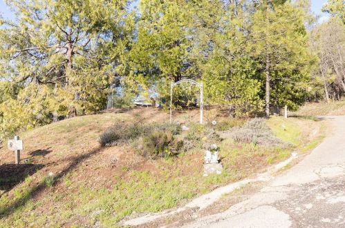 23714 State Highway 88, Pioneer CA  95666-9123 exterior
