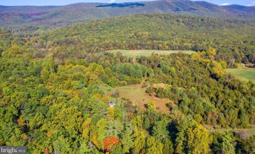 1788 Dellinger Gap Rd, Edinburg VA  22824-2503 exterior