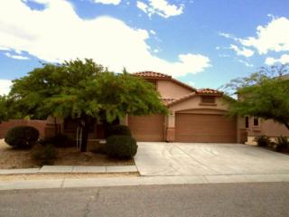 10879 Distillery Canyon Spring Dr, Santa Rita AZ  85641-2558 exterior