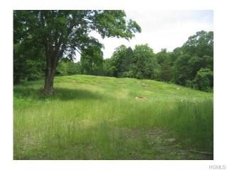 105 Bundy Hill Rd, Whaley Lake, NY 12531-5352