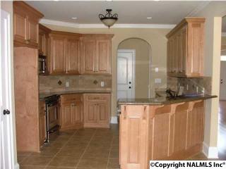 110 Crystal Springs Dr, Madison AL  35757-8622 exterior