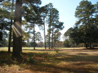 140 Saluda Dr, Parlers, SC 29142-9320