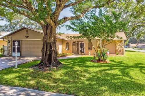 8703 Woodbridge Dr, New Port Richey, FL 34655-2932