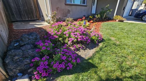 4691 Holycon Cir, San Jose, CA 95136-2311