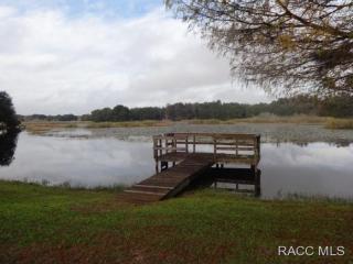 1160 Beach Park Dr, Inverness, FL 34453-1406