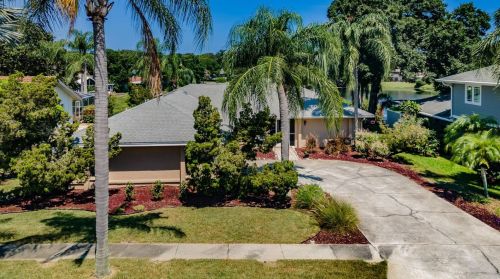 4643 Orange Grove Way, Palm Harbor, FL 34684-4024