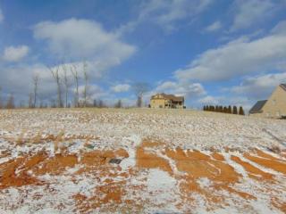 2008 Muddy Creek Rd, Blountville, TN 37617-6443