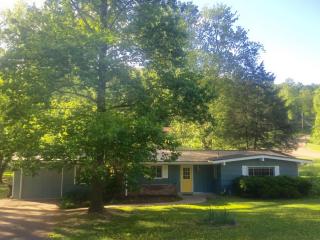 1117 Pilleaux Dr, Knoxville, TN 37912-2930