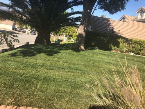 28666 Meadowgrass Dr, Santa Clarita, CA 91384-4334