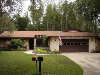 17003 Shady Pines Dr, Lutz, FL 33548-6194