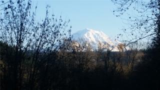 16506 Prairie Creek Rd, Ohop, WA 98360-9273