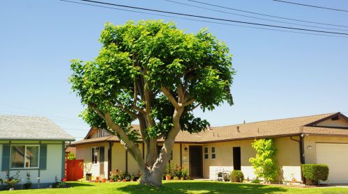 5226 Northridge Ave, San Diego, CA 92117-1529