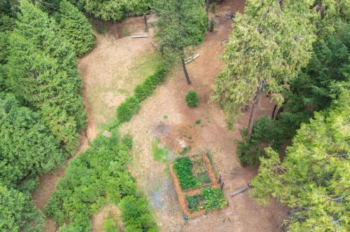 16199 Pioneer Creek Rd, Pioneer CA  95666-9415 exterior