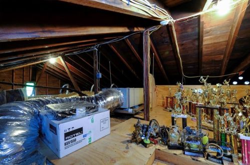 8 Parkway, Mount Vernon NY  10552-1219 exterior