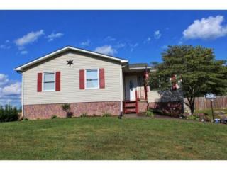 223 Hamilton Rd, Elizabethton, TN 37643-4891