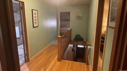 308 Old Route 17, Lew Beach NY  12758-5031 exterior