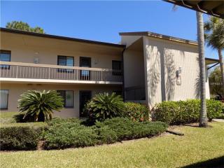 104 Camille Ct, Oldsmar, FL 34677-2232