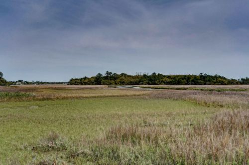 52 Salty Tide Cv, Mount Pleasant SC  29464-7925 exterior