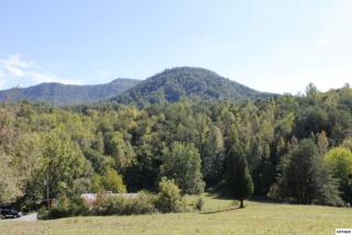 866 Graves Delozier Rd, Seymour, TN 37865-7012