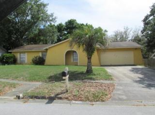 801 Kingswood Pl, Brandon, FL 33511-7019