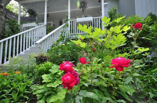 89 Wheeler Rd, Litchfield, CT 06759-2819