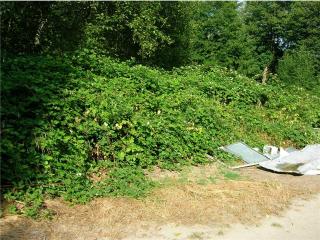 41890 Cape Horn Dr, Concrete, WA 98237-8484