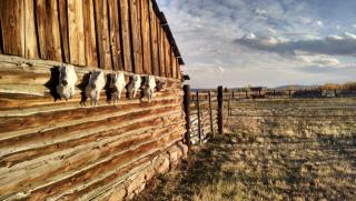 98 Gannett Rd, Broadford, ID 83313-5041