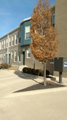 300 Main St, Muncie IN  47305-1638 exterior