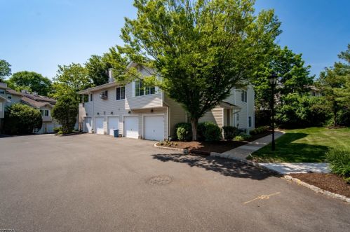 48 Encampment Dr, Bedminster, NJ 07921-1828