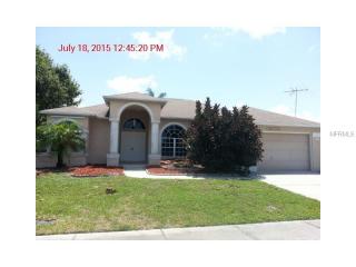 2446 Mondale Ct, Tarpon Springs, FL 34691-3114