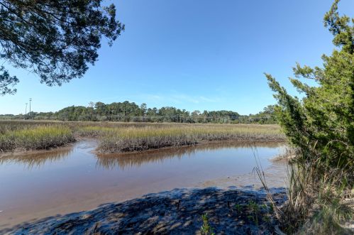597 Mclernon Trce, Johns Island SC  29455-7814 exterior