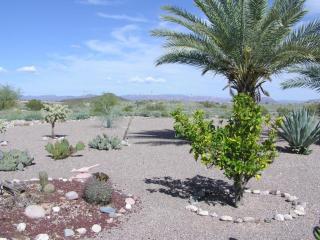 322 Lancaster Ct, Florence, AZ 85132-9410