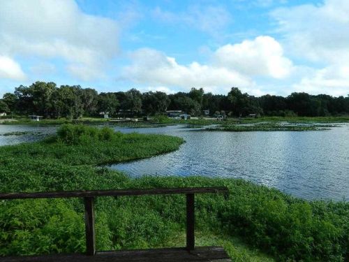 106 Little Orange Lake Dr, Cross Creek, FL 32640-6026