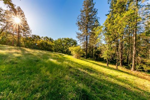 2335 Sliger Mine Rd, Greenwood CA  95635-9605 exterior