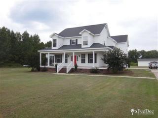1703 Willow Point Rd, Effingham SC  29541-3359 exterior