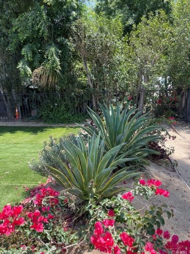 3779 Shamrock Ave, Riverside CA  92501-1845 exterior