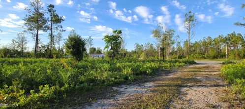 11302 Linger Longer Rd, Youngstown, FL 32466-2508