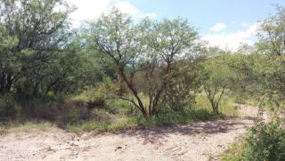 853 Roper Rd, Nogales, AZ 85621-1439