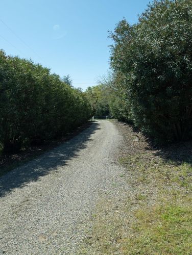1500 Gold Hill Rd, Newcastle CA  95658-9245 exterior