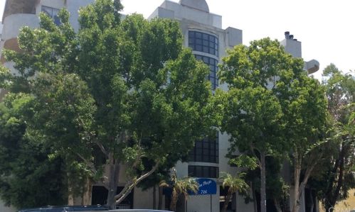 726 Elm Ave, Long Beach, CA 90813-4400