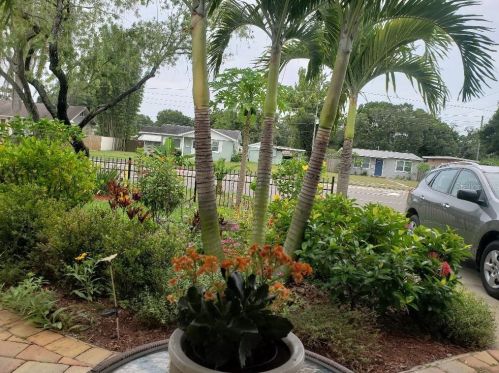 5143 5th Ave, Saint Petersburg, FL 33707-2605