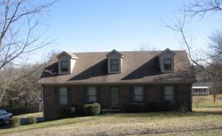 503 David Ave, Lewisburg, TN 37091-3675