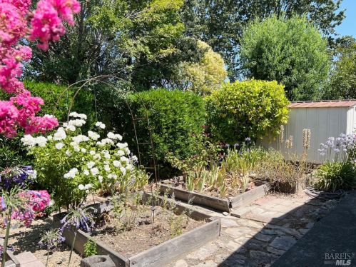 704 Sequoia St, Windsor CA  95492-9328 exterior