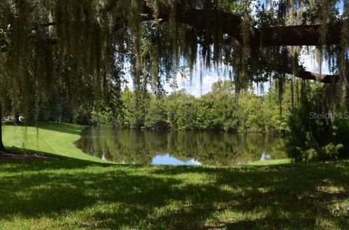 3738 Golden Eagle Dr, Land O Lakes FL  34639-9542 exterior